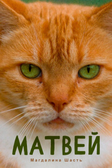 Аудиокнига Матвей