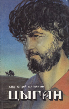 Аудиокнига Цыган