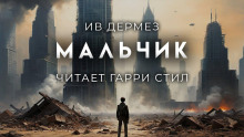 Аудиокнига Мальчик