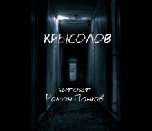 Аудиокнига Крысолов