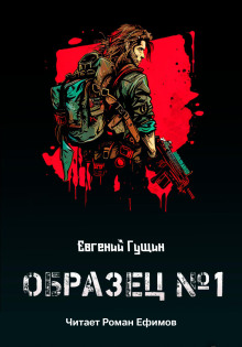 Аудиокнига Образец №1
