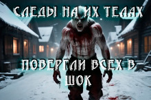 Аудиокнига Стужа