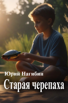 Аудиокнига Старая черепаха