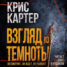 Аудиокнига Взгляд из темноты
