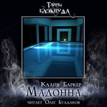 Аудиокнига Мадонна