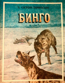 Аудиокнига Бинго