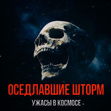 Аудиокнига Оседлавшие шторм