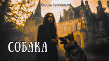 Аудиокнига Собака