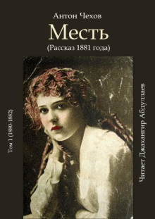 Аудиокнига Месть