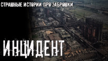 Аудиокнига Инцидент