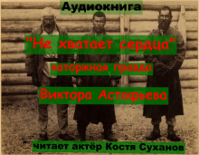 Аудиокнига Не хватает сердца...