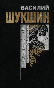 Аудиокнига Верую!