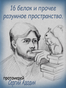 Аудиокнига 16 белок и прочее разумное пространство
