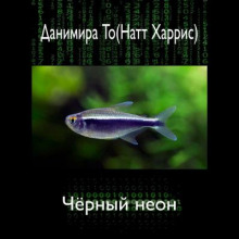 Аудиокнига Чёрный неон