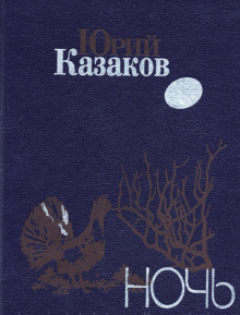 Аудиокнига Ночь