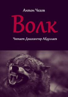 Аудиокнига Волк