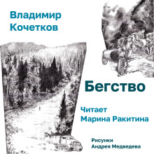 Аудиокнига Бегство
