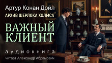 Аудиокнига Важный клиент