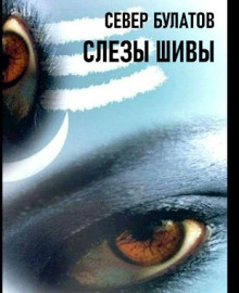 Аудиокнига Слёзы Шивы