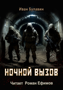 Аудиокнига Ночной вызов