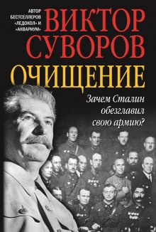 Аудиокнига Очищение