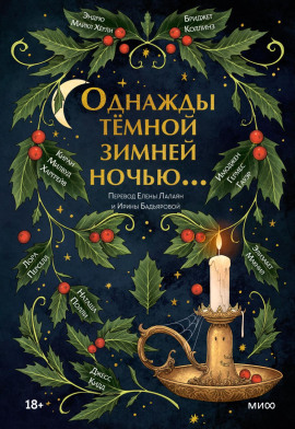 Аудиокнига Однажды тёмной зимней ночью…