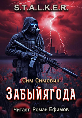 Аудиокнига S.T.A.L.K.E.R. Забыйягода