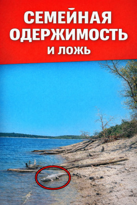 Аудиокнига Семейная одержимость и ложь