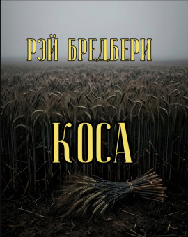 Аудиокнига Коса