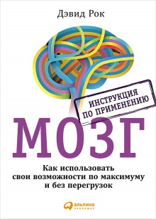 Аудиокнига Мозг. Инструкция по применению